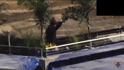 Every Jim Koehler Water Stunt at the Monster Jam World Finals (REACTION)