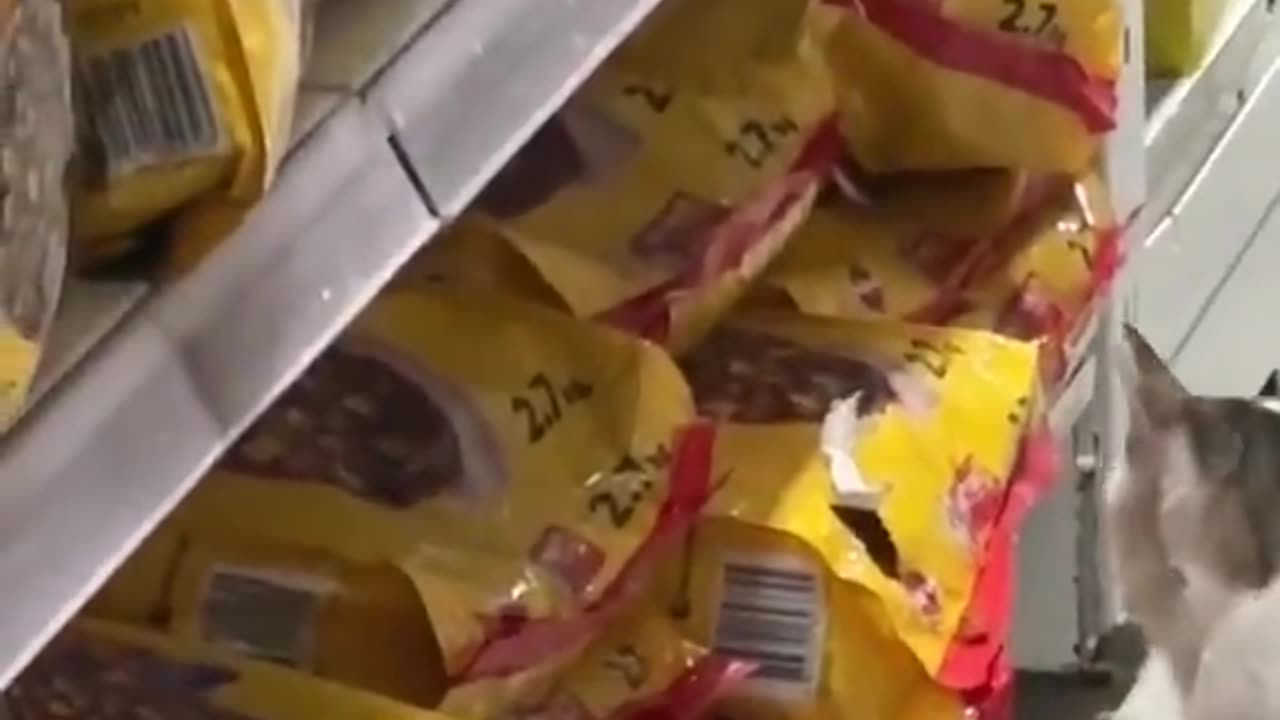 just the owner of store checking products qualit