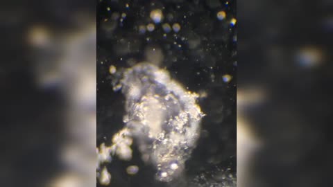 Nicotine destroys nanotech.