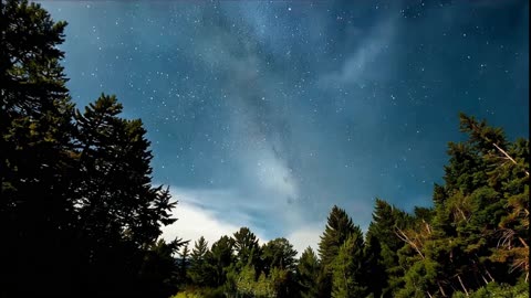 Orb Weaver String Mix