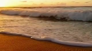 Tropischer Strand mit Palmen und türkisblauem Meer