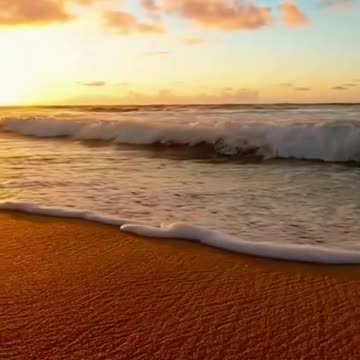 Tropischer Strand mit Palmen und türkisblauem Meer