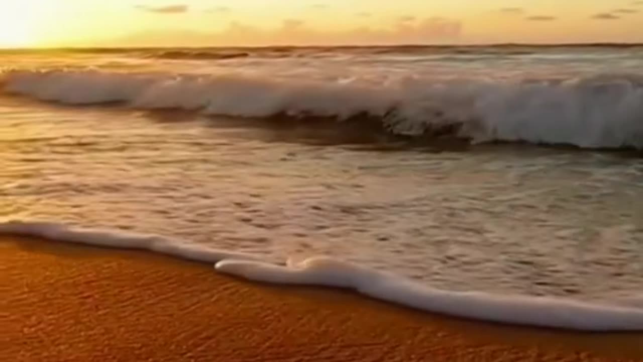 Tropischer Strand mit Palmen und türkisblauem Meer