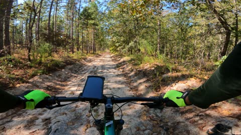 Downhill Lost In The Woods - 1