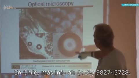 Andreas Kalcker: El Parásito Híbrido que Brota de los Transgénicos, Los Gusanos Intestinales OGM