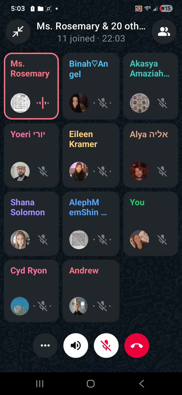 'We are exactly where the Illimitable One wants us to be.' Ms Rosemary - 8th night of Hanukah.