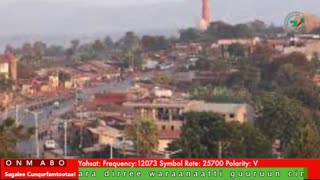 Oduu Galgala ONM-ABO Sadaasa 7-2025 itti dhiyaadhaa!