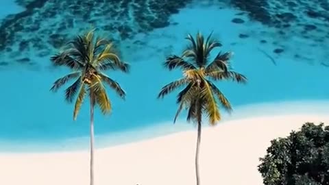 Winter landscape painting Dark nature aesthetic Beautiful art pictures