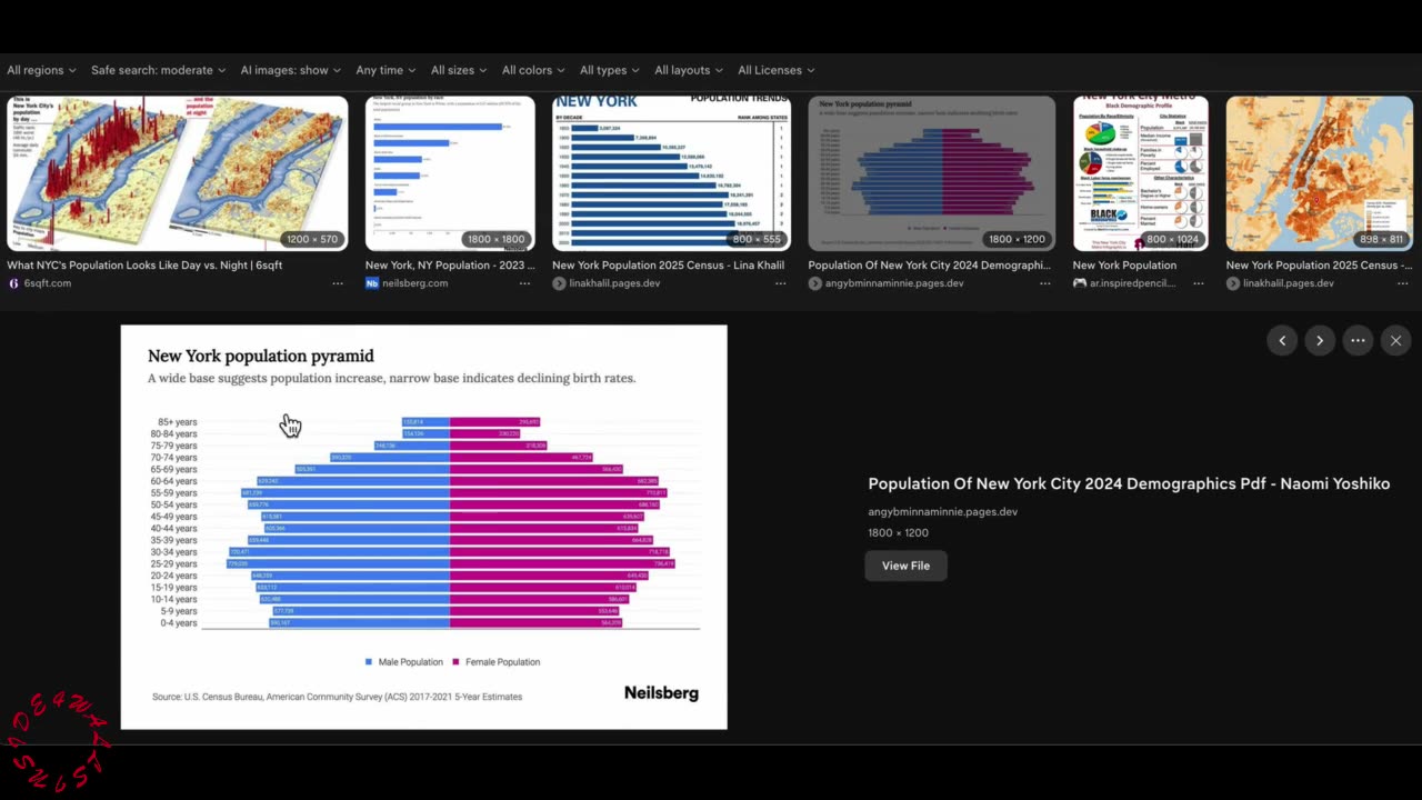 Foreign Born Socialist Zohran Mamdani Win NYC Mayoral Election. NEW YORK IS DOOMED?!?!?