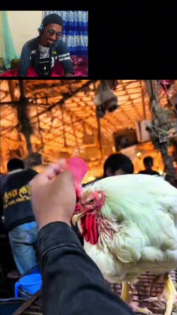 When the Chicken Stared Back… I Couldn’t Stop Laughing! 😂 | Desi Market Meme