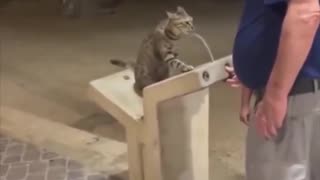 In a world where you can be anything, be kind.. 😊