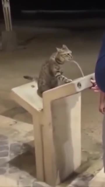 In a world where you can be anything, be kind.. 😊