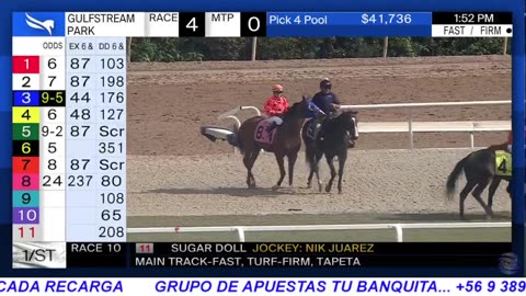 TRANSMISION EN VIVO EL LECHUO