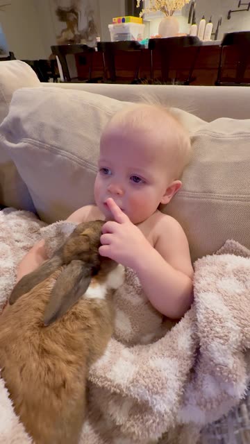 Just a Boy and His Bunny