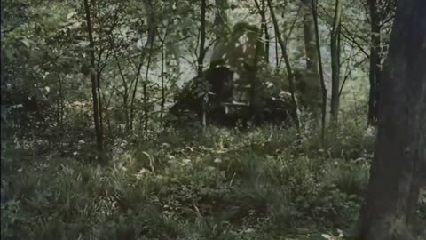05 - Mud to my knees the cold air bites - WW1 Inspired Trench Music - Colourized Footage