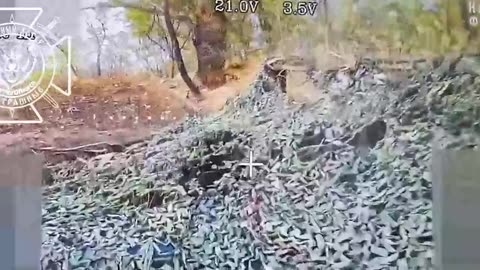 🇷🇺🔫 Ukraine Russia War | Fiber-Optic Drones Target Ukrainian Howitzers | RCF