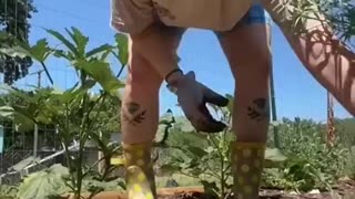 Amazing: Scare Cam #repost #edit #scarecam #shorts #youtubeshorts