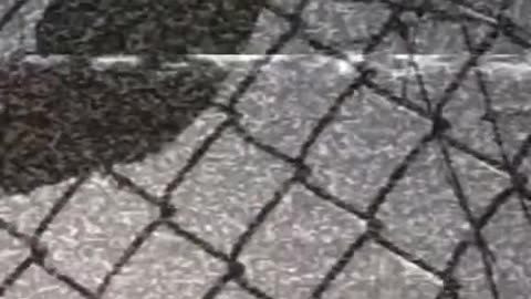 Fragmenty przepowiedni Irlmajera