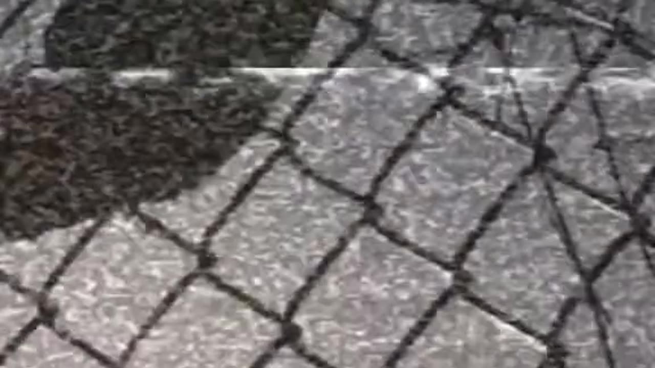 Fragmenty przepowiedni Irlmajera