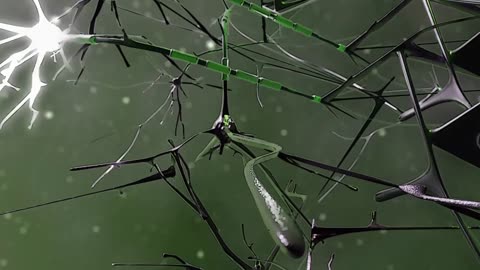 Your Thoughts Are Physical: The 3 Ways Thought Trees Exist in Your Brain, Mind & Body