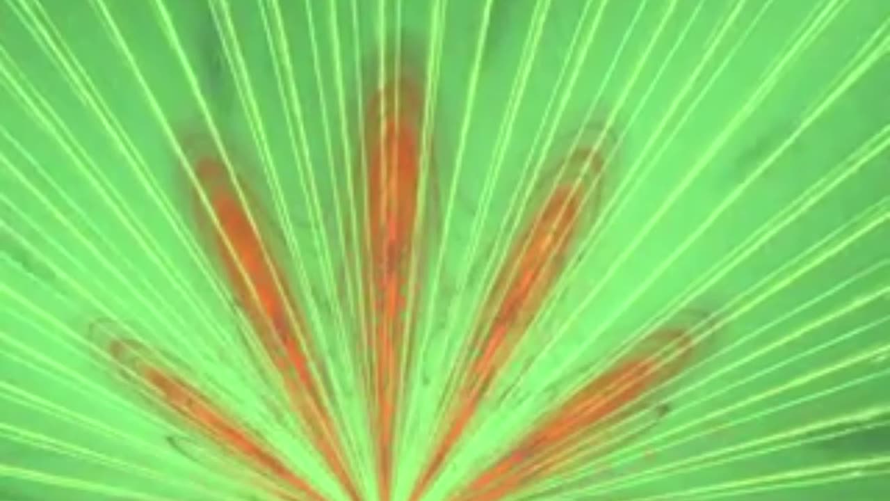 ElectricFlockis Cozy Room Beats