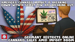 Brooklyn weed shop's closure has industry warning it could be the start of a wave
