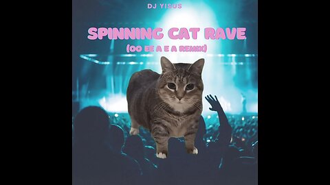 Spinning cat concert😹🔥🔥