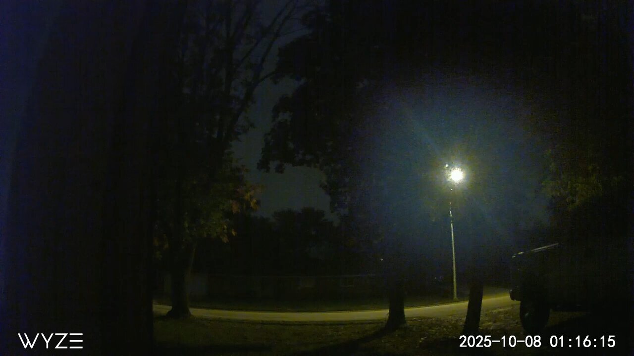 holographic interfacing