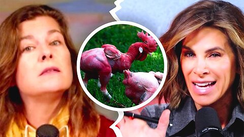 Genetically Modified Organisms, What Could Go Wrong? Jillian Michaels w/ Heather Heying