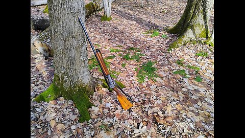 1909 Browning/FN Auto 5 16 Ga