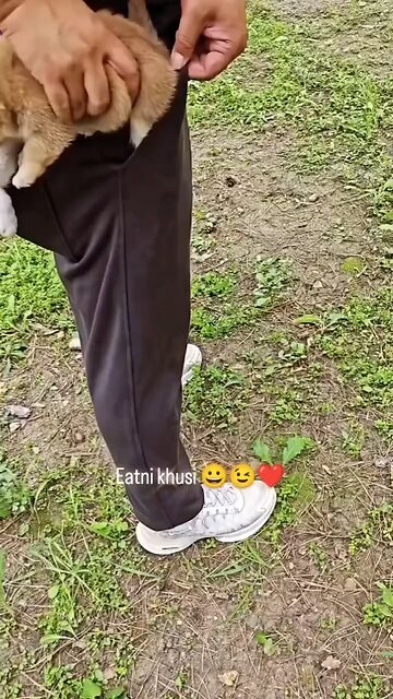 My Pocket friendly friends