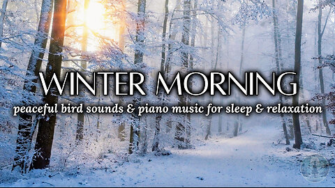 Snowy Winter Forest | Soft Piano Music & Birds Chirping Sounds for Relaxing, Sleep, Meditation