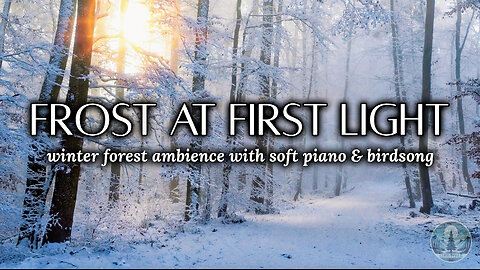 Winter Forest Ambience with Soft Piano & Bird Sounds for Relaxation ❄️🐦🎶 | Sounds of Nature