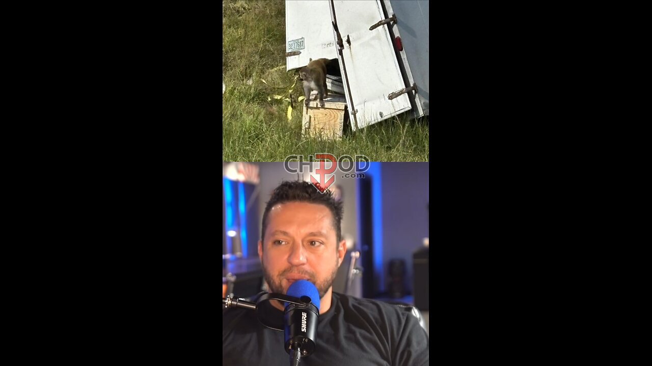 Monkeys escape. What caused the crash?