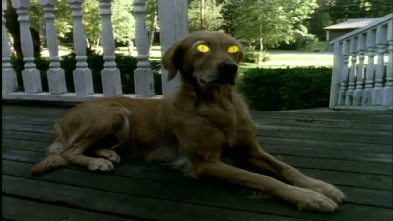 Are Goose Afraid Of The Bumps? Spooktober Wheel #6