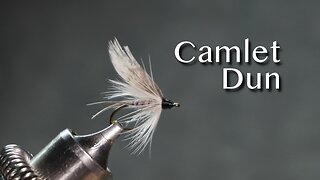 Camlet Dun: a trout fry pattern from Favorite Flies and Their Histories (1892) by Mary Orvis Marbury