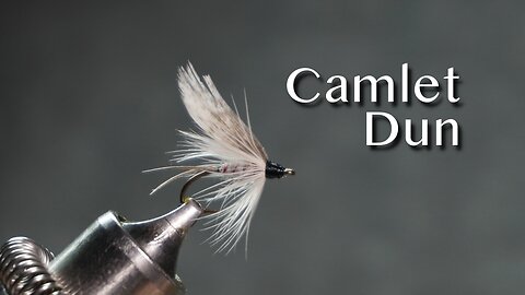 Camlet Dun: a trout fry pattern from Favorite Flies and Their Histories (1892) by Mary Orvis Marbury