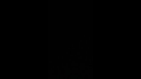 Goofy ahh roar test 1