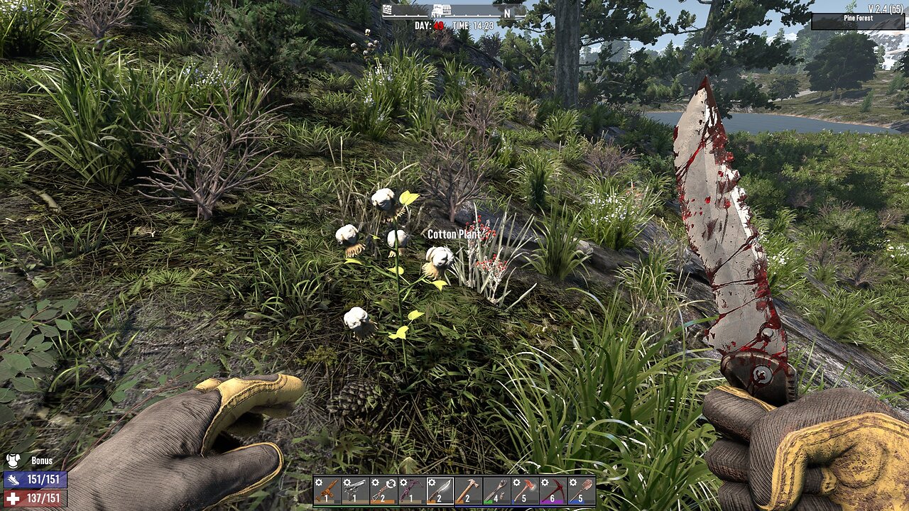 Community Cotton Picking