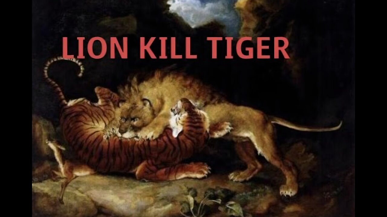 The LION KILLS the TIGER