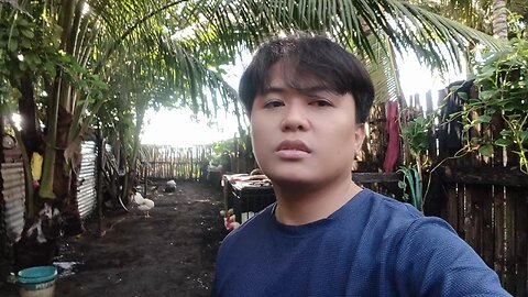 Mike's Backyard Vlog Contribution 📹 (December 6, 2025)