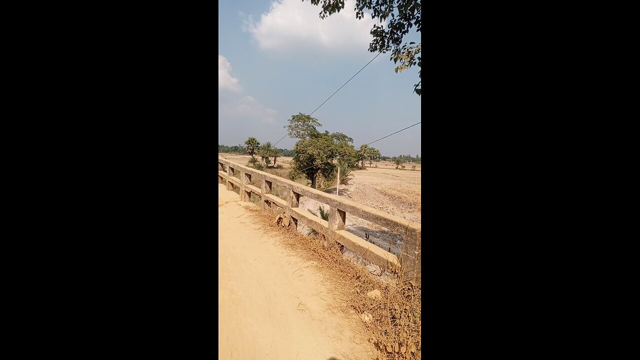 গ্রামের সুন্দর প্রকৃতি দৃশ্য ব্রীজ #viral #fbreels