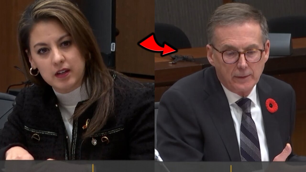 Bank of Canada Governor Drops a Truth Bomb!