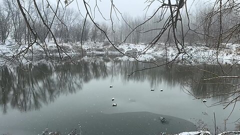 Duck hunting in the snow