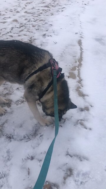 Monday January 6, pour the oil over his head.