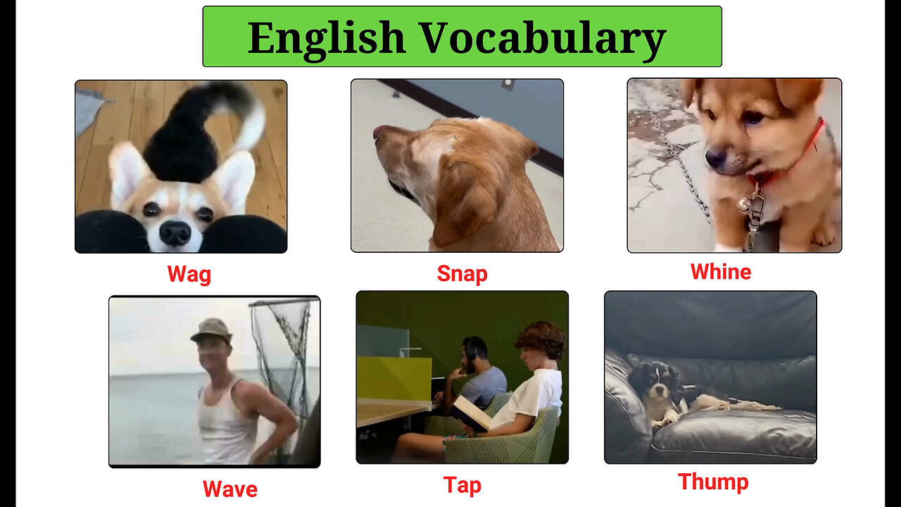 English Vocabulary | Common Englishwords