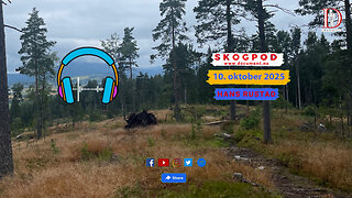 Skogpod 10. oktober 2025