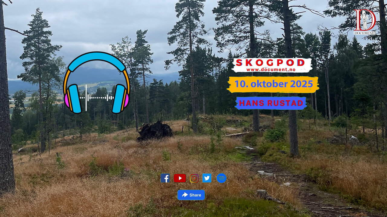 Skogpod 10. oktober 2025