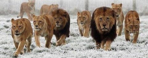 REMEMBERING THIS WORD: DON'T LOSE YOUR FAITH!