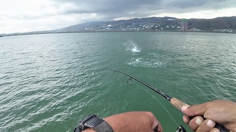 I Was NOT Expecting This Kind of Hook-Up Rumble! 🎣🔥